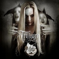 Alloy - TRILLIUM