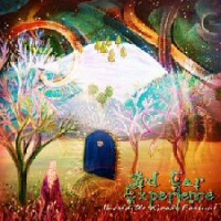 Incredible Good Fortune -  3rd EAR EXPERIENCE