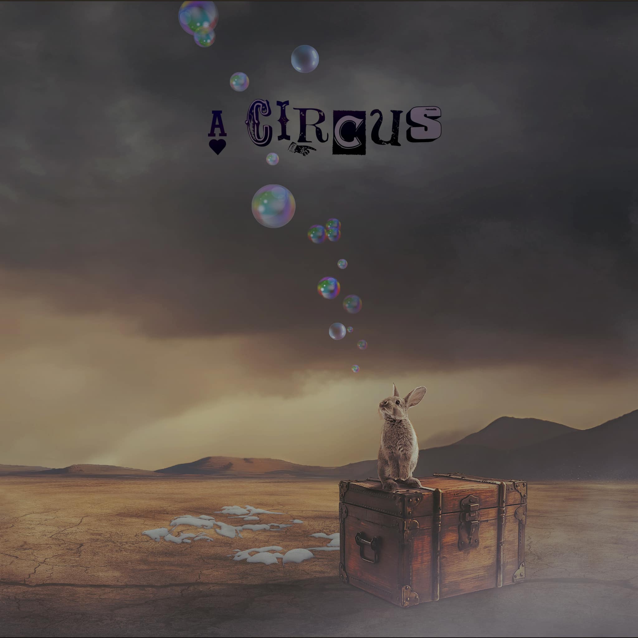 A Circus - A CIRCUS