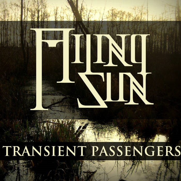 Transient Passengers  - AILING SUN