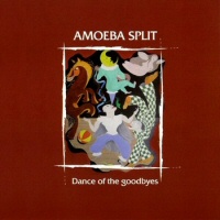 Dance of the goodbyes - AMOEBA SPLIT