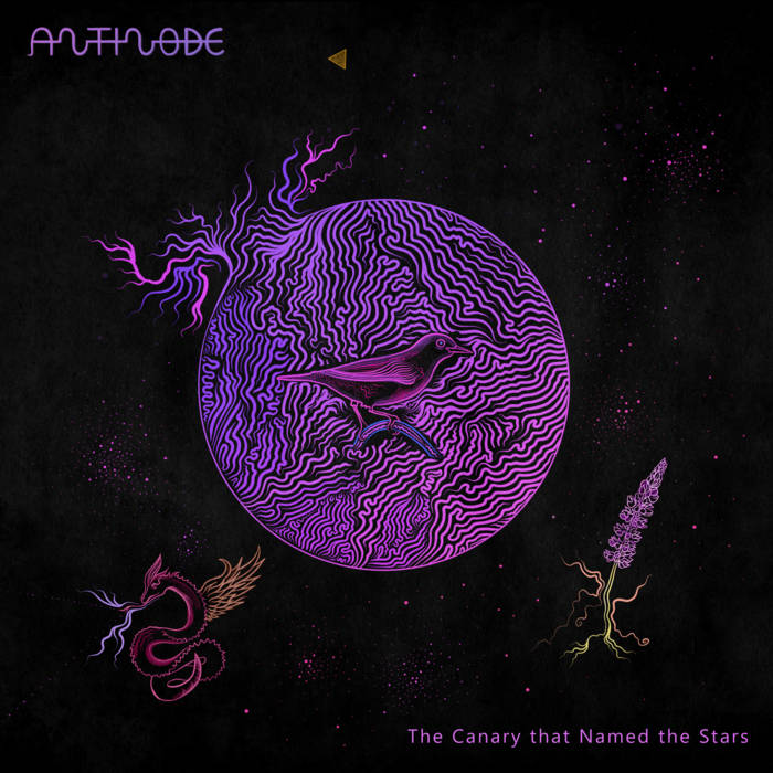 The canary that named the stars (EP) - ANTINODE