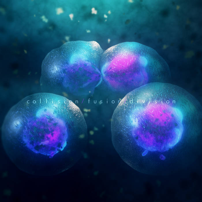 collision​ fusion​ division - AT NIGHT I FLY