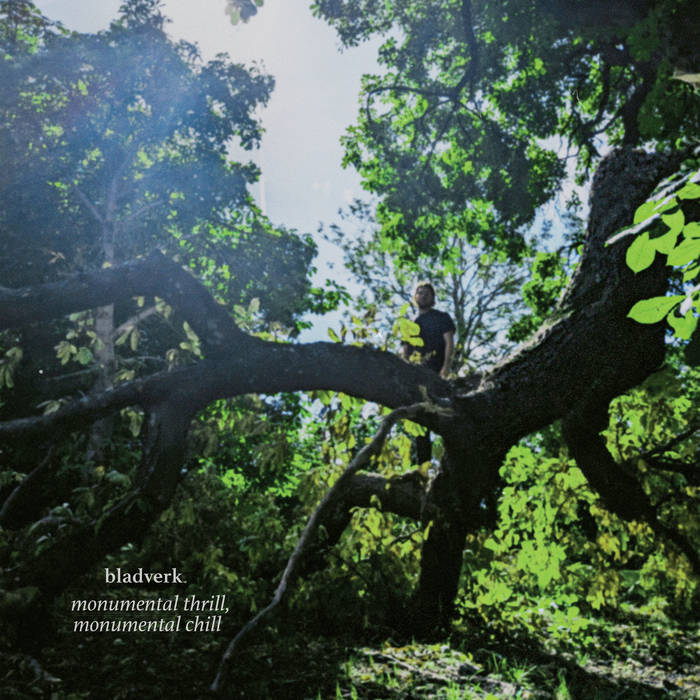 Monumental Thrill, Monumental Chill - BLADVERK