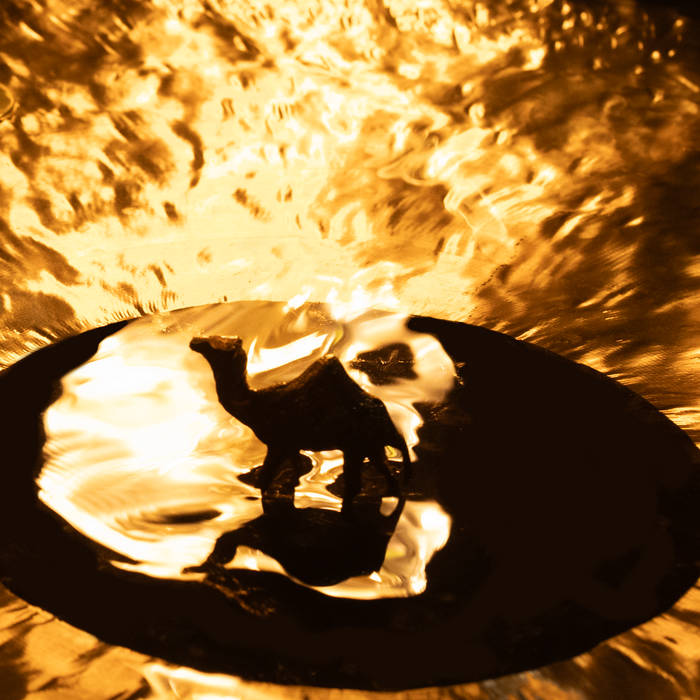 Brass Camel - BRASS CAMEL