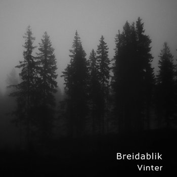 Vinter - BREIDABLIK