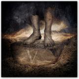 V - BRIGHTEYE BRISON