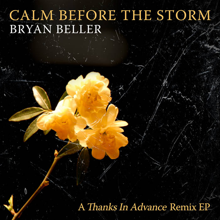 Calm before the storm - BRYAN BELLER