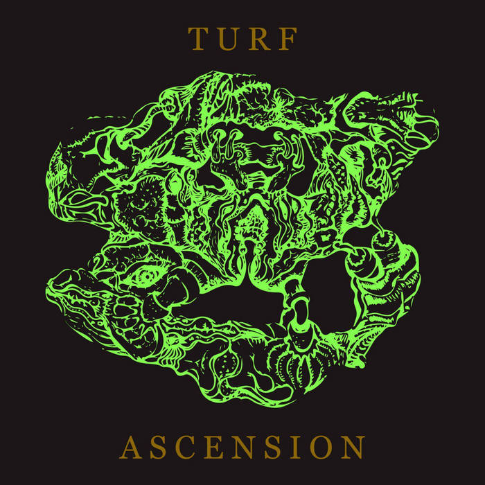 Turf Ascension - BUBBLEMATH