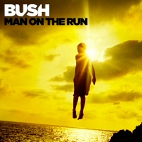 Man on the run - BUSH