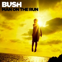 Man on the run - BUSH