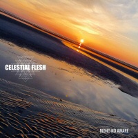 Mono No Aware  - CELESTIAL FLESH