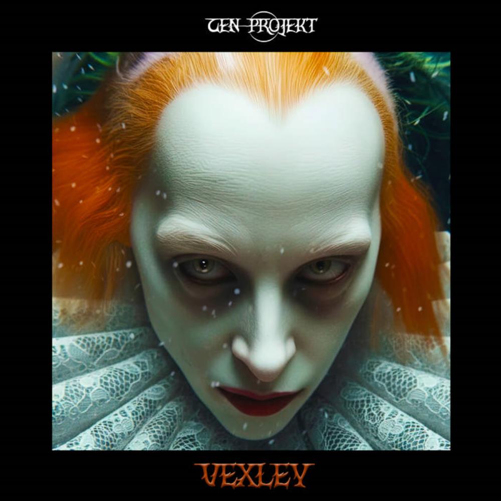 Vexley - CEN PROJEKT