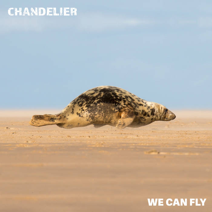 We can fly - CHANDELIER