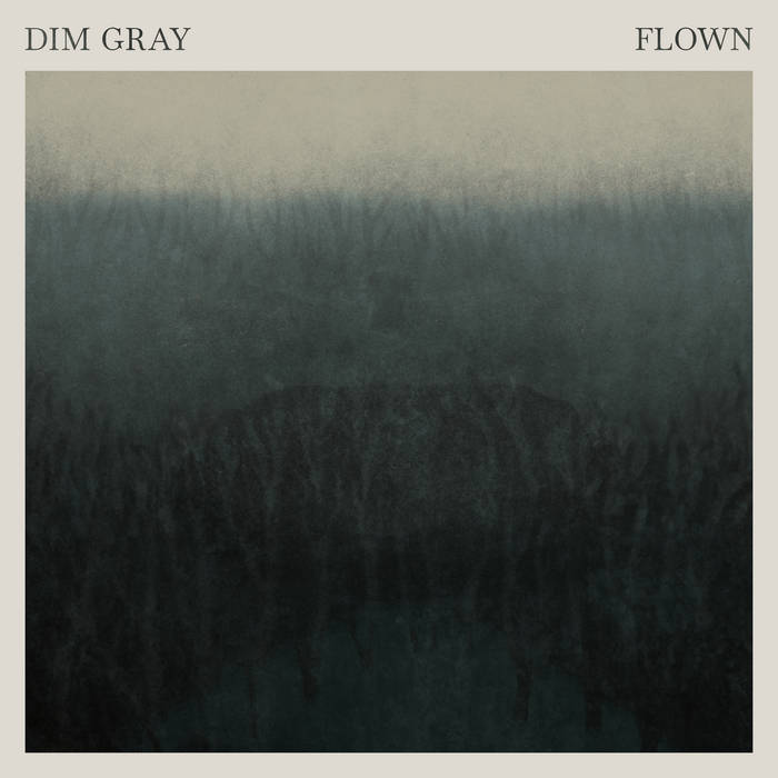 Flown - DIM GRAY