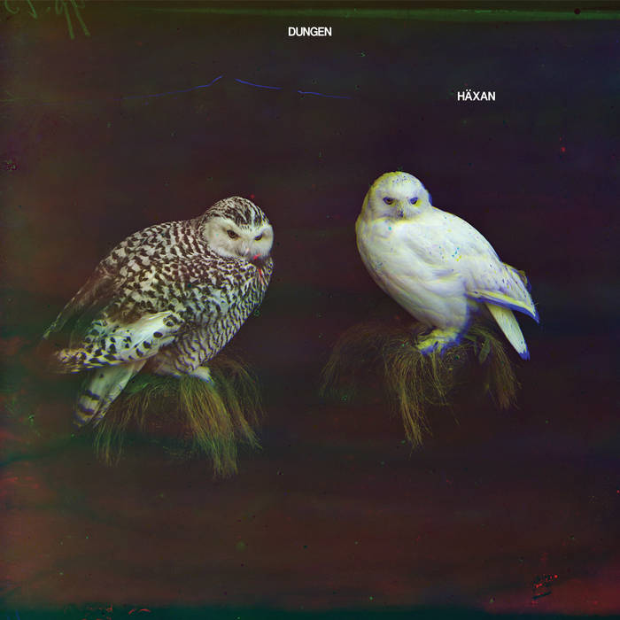 Haxan - DUNGEN