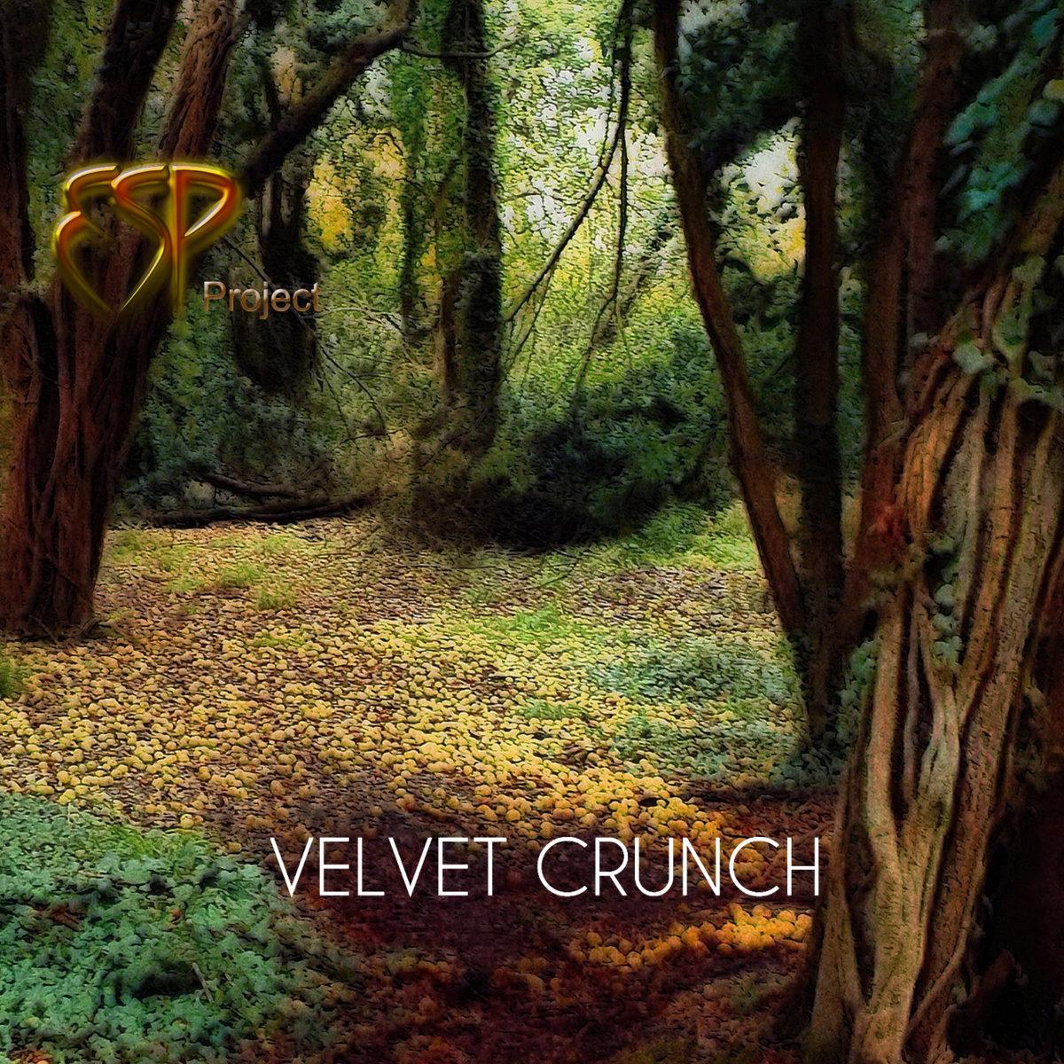 VELVET CRUNCH - ESP PROJECT
