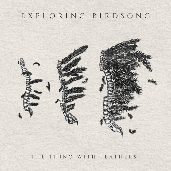 The thing with Feathers - EXPLORING BIRDSONG