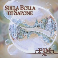 Sulla Bolla di sapone - FEM