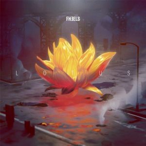 Lotus - FHEELS