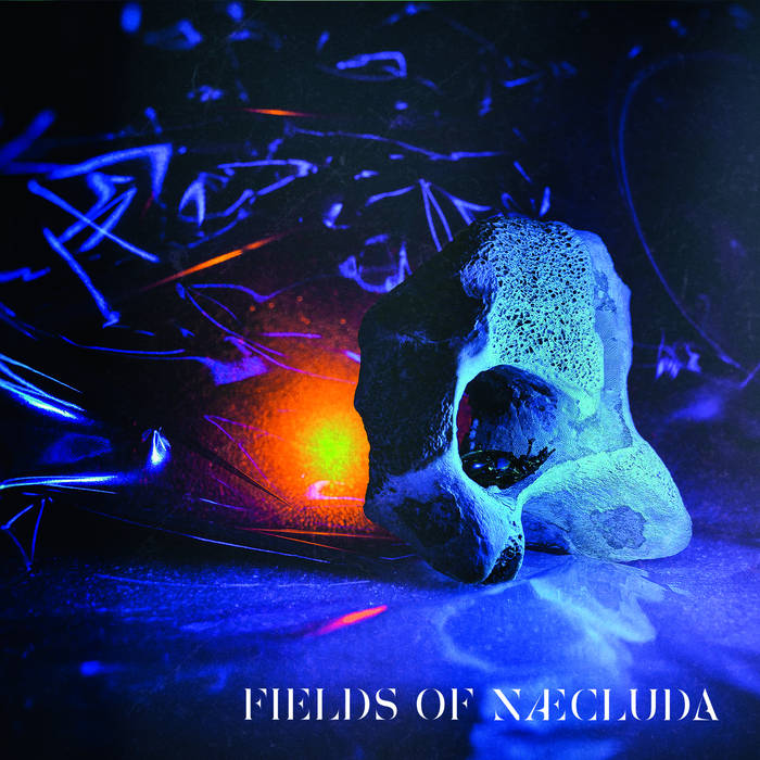 Fields of Naecluda - FIELDS OF NAECLUDA