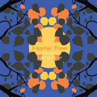 Flame tree - FLAME TREE