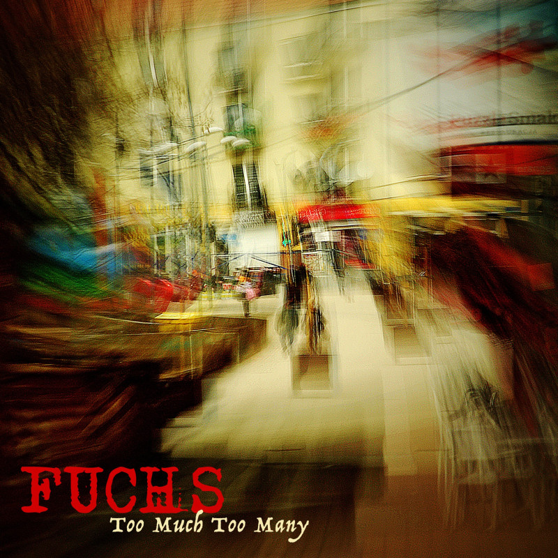 Too Much Too Many - FUCHS