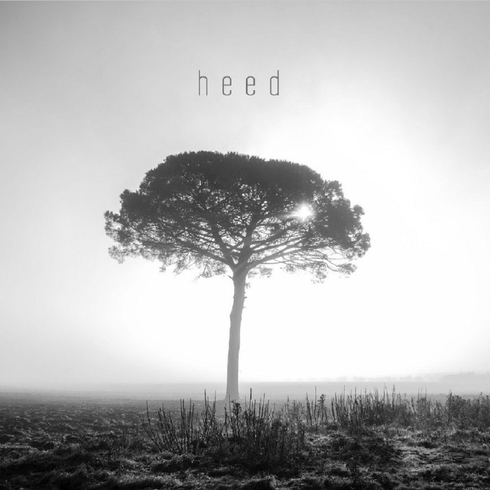 Heed - GINKGO DAWN SHOCK