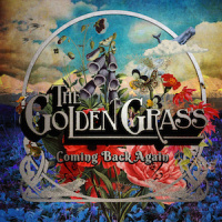 Coming back again - THE GOLDEN GRASS