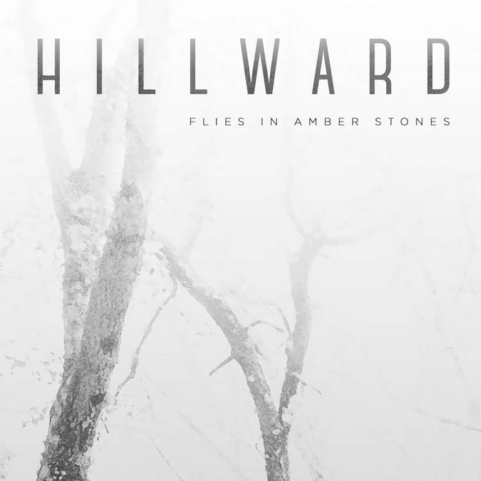 Flies in amber stones - HILLWARD