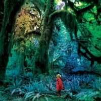 Cabinet of Curiosities - JACCO GARDNER