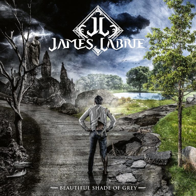 Beautiful shade of grey - JAMES LABRIE