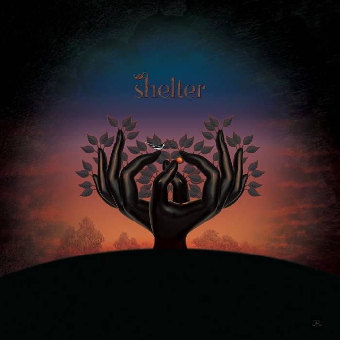 Shelter - LAUGHING STOCK