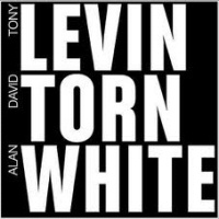 Levin - Torn - White  - LEVIN-TORN-WHITE