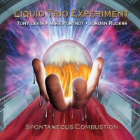 Spontaneous Combustion  - LIQUID TRIO EXPERIMENT