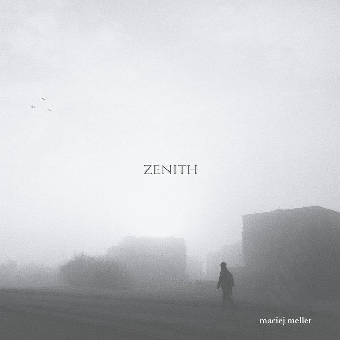 Zenith - MACIEJ MELLER