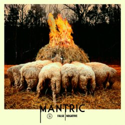 False Negative - MANTRIC