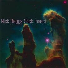 Stick Insect - NICK BEGGS