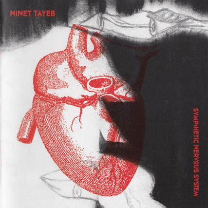 Sympathetic nervous system - NINET TAYEB