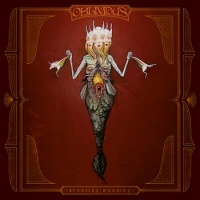 Creating Meaning  - OBLIVIOUS