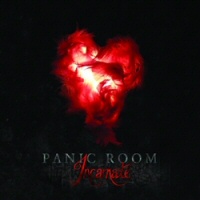 Incarnate - PANIC ROOM 