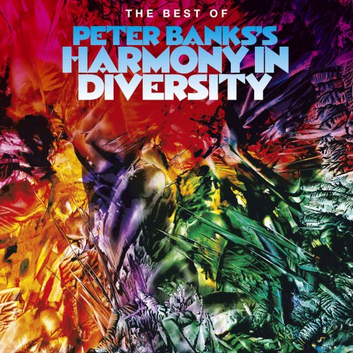 The best of Peter Banks:Harmony in Diversity - PETER BANKS