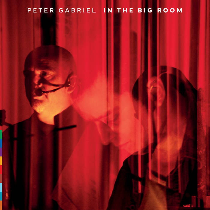 In The Big Room Live 2003 - PETER GABRIEL