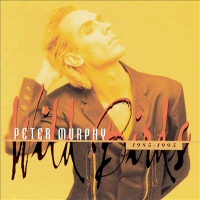 Wild Birds - PETER MURPHY