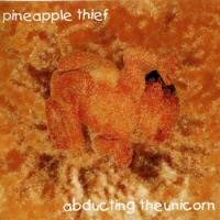 Abducting The Unicorn - PINEAPPLE THIEF