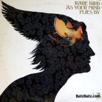 As your mind flies by  - RARE BIRD