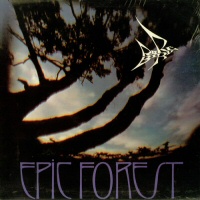 Epic Forest  - RARE BIRD