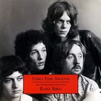 Third time around  - RARE BIRD 