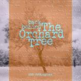 Back Behind The Orchard Tree - ROB COTTINGHAM