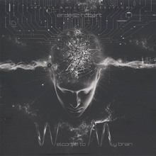 Welcome to my brain (CDx2) - ROBERT ERDESZ